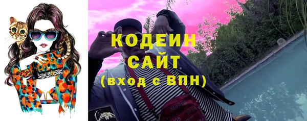 дурь Арсеньев