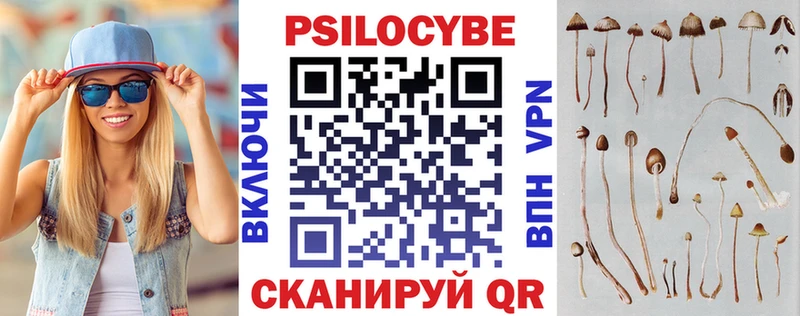 Псилоцибиновые грибы Psilocybe  купить   дарк нет наркотические препараты  Петушки 