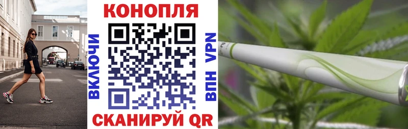 Конопля гибрид  где можно купить   Петушки 